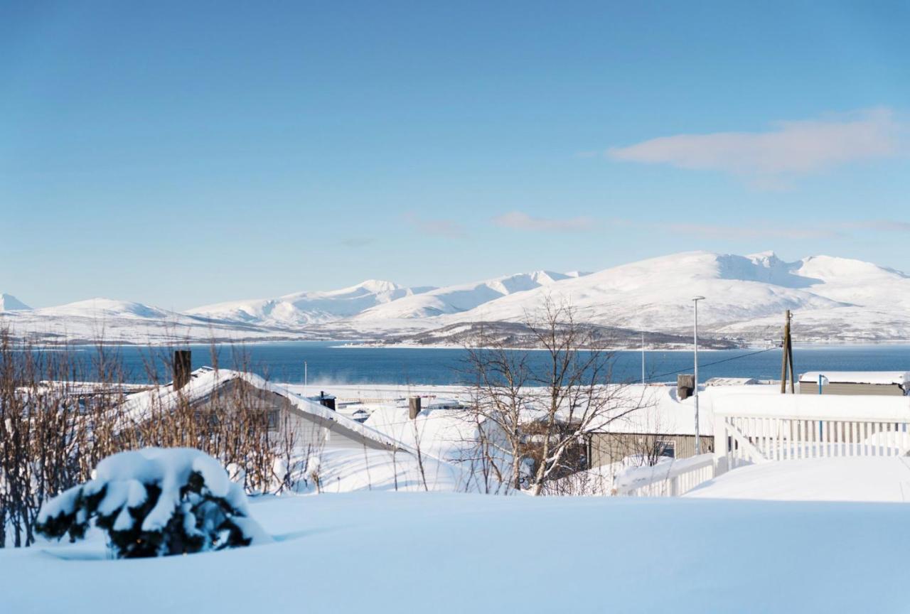 Aurora And Midnight Sun Tromsø Exterior foto